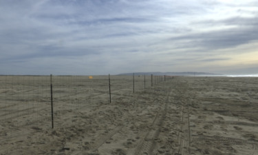 OCEANO DUNES FENCING