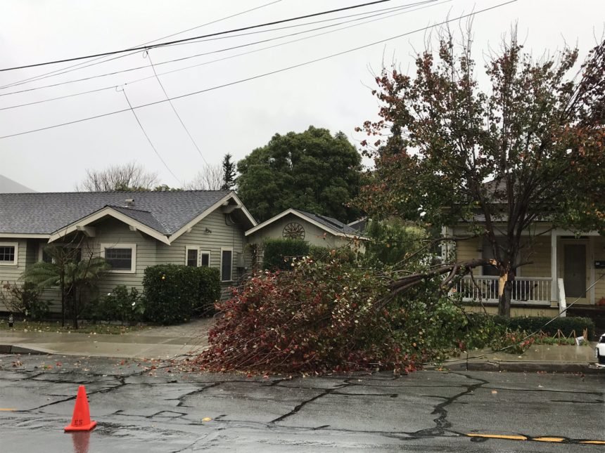 Tree limb knocks down power line