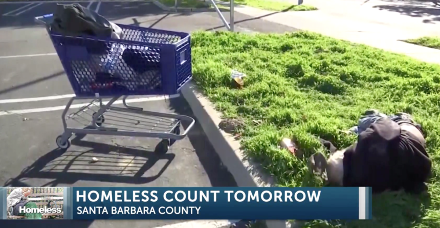 Homeless count  -  shopping cart
