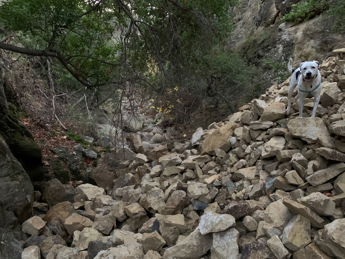 Boulders and debris fill a section of Mission Creek off Inspiration Point Trail. (Photo: Brian Trautwein/EDC)