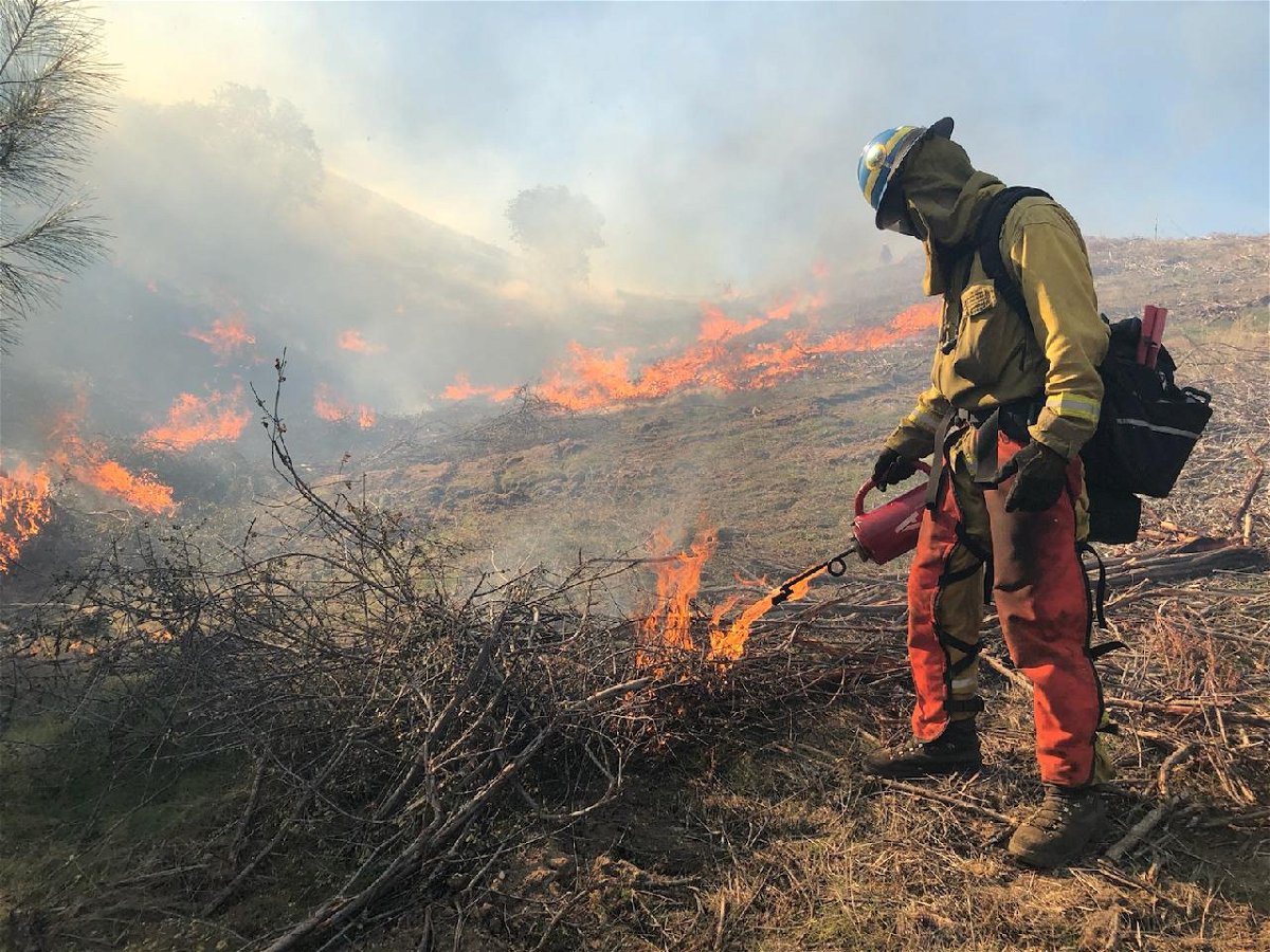 Creston Pile Burn by Cal Fire SLO. February 13, 2020.