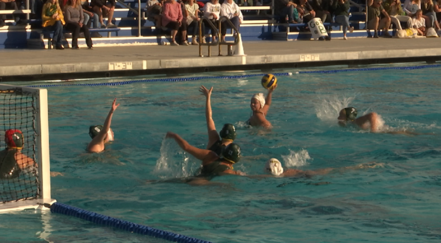 SB Dons girls water polo loses