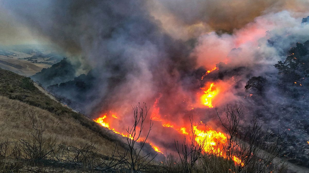 Planned Burn Near Los Alamos Jumps Containment Lines No Threat To