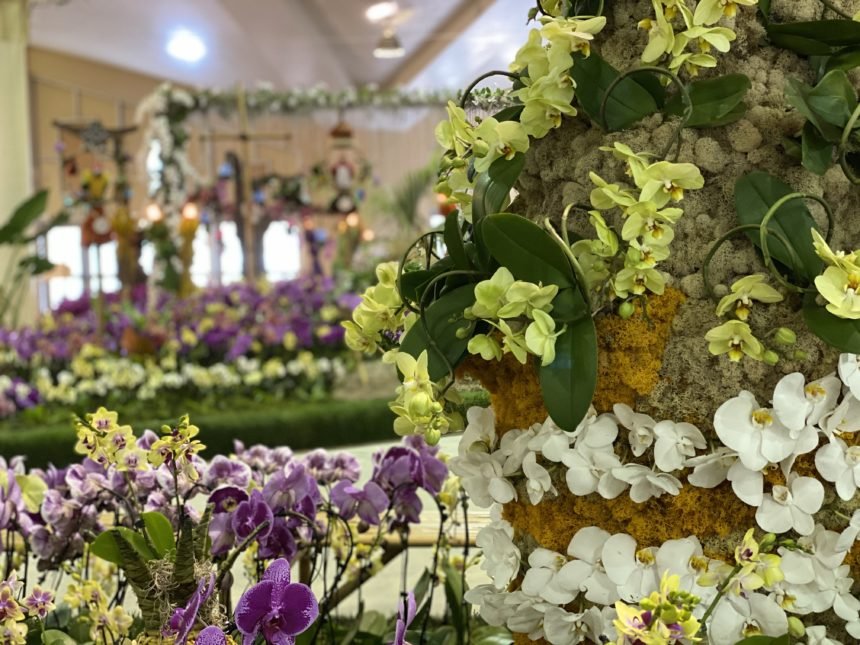 Orchid Festival