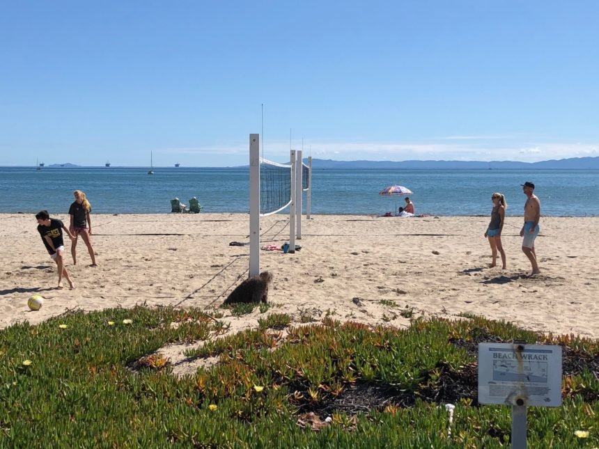 Beach volleyball on East Beach