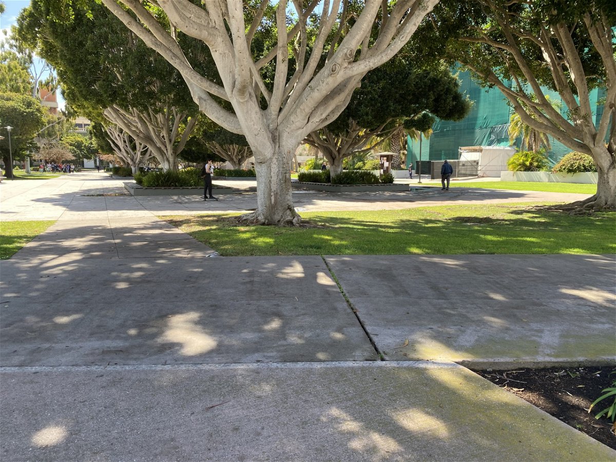 Vanlife Goes to School in Isla Vista - The Santa Barbara Independent