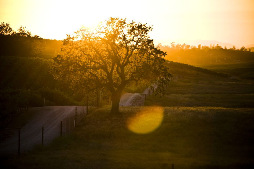 City of Paso Robles named “Best Small Town for Retirement”