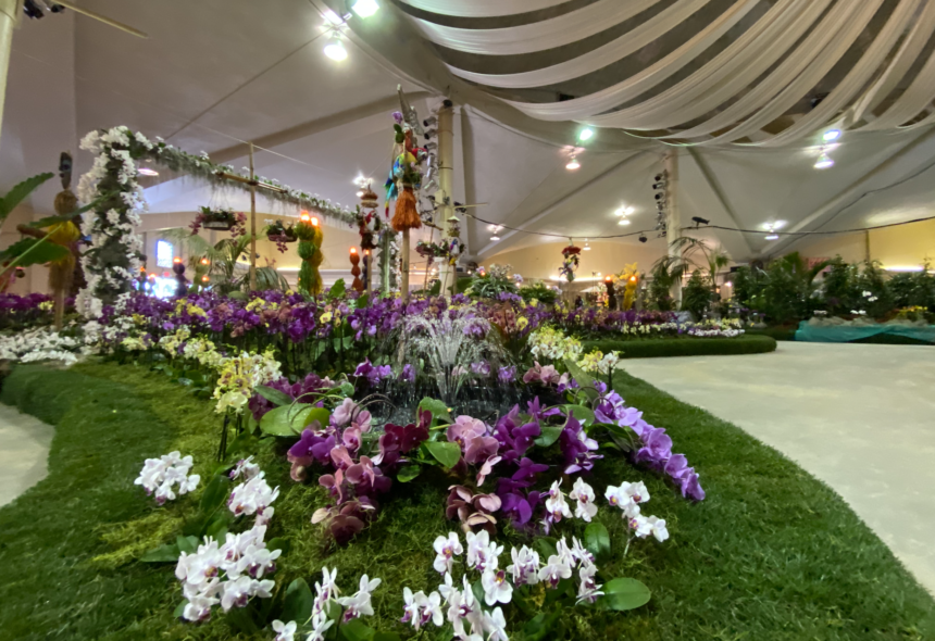 International Orchid Show cancels with thousands of plants and people