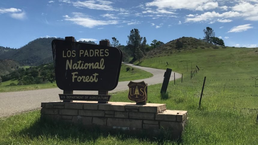 los padres national forest at fig mtn lpnf generic
