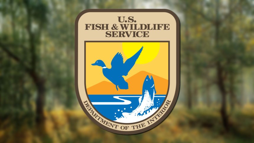 us fish and wildlife service department of the interior