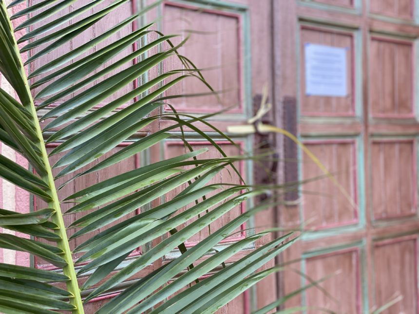 Palm Sunday Santa Barbara Mission