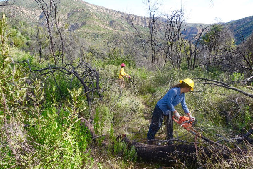 Murietta Trail Work Photo