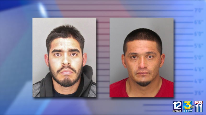 vta county car theft suspects