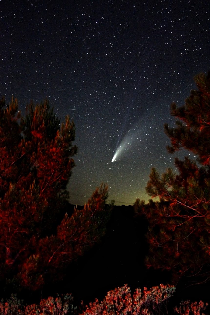 Neowise Comet - Samson Pinto 3