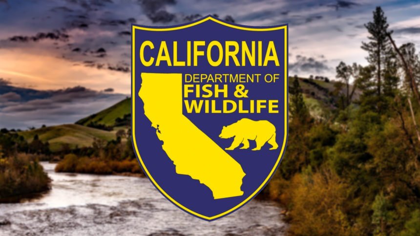 california department of fish and wildlife generic