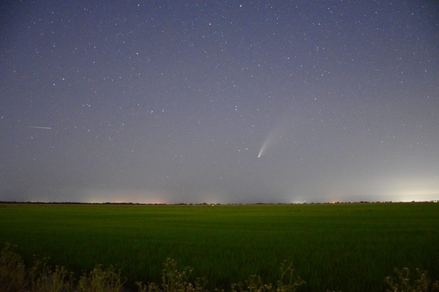 neowise comet - Bachir