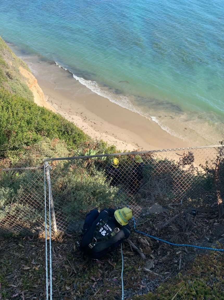 santa barbara dogs rescue cliff 1