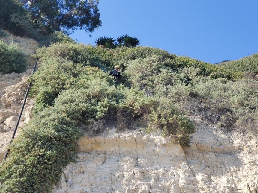 santa barbara dogs rescue cliff 3