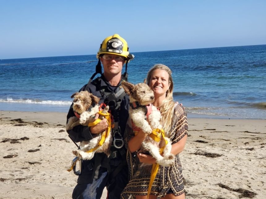 santa barbara dogs rescue cliff 4