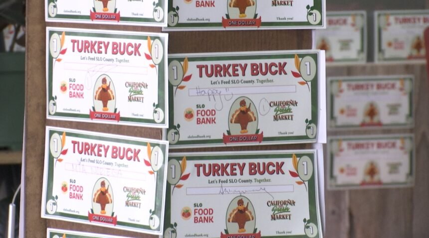 Turkey Bucks 2