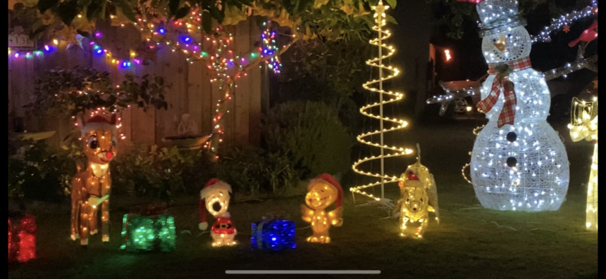 Holiday lights