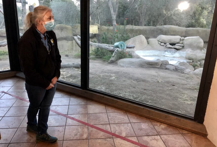 Dr. Julie Barnes: Santa Barbara Zoo