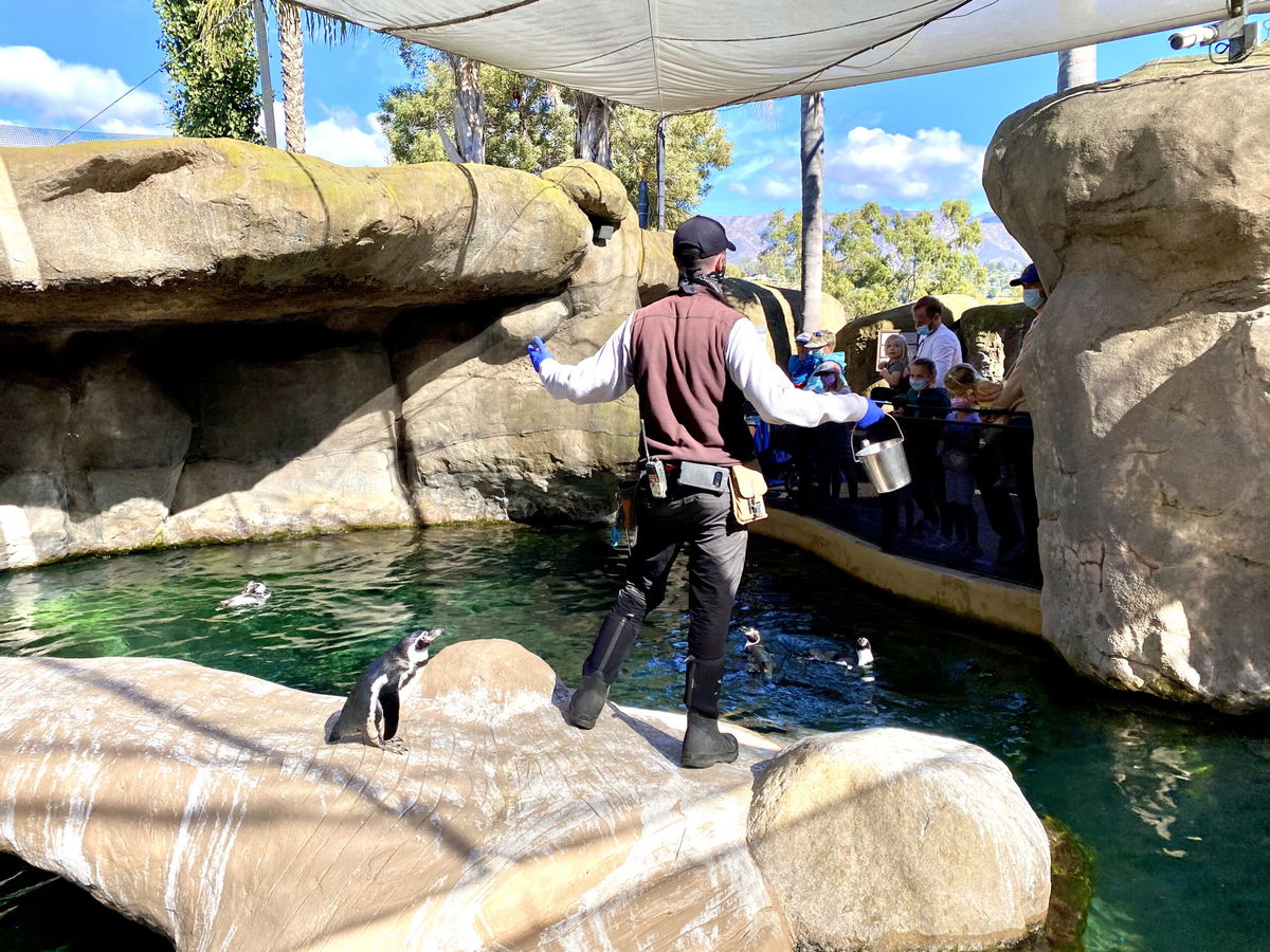 Santa Barbara Zoo Reopens After Lifting Of Stay At Home Order News   IMG 4162 Scaled 