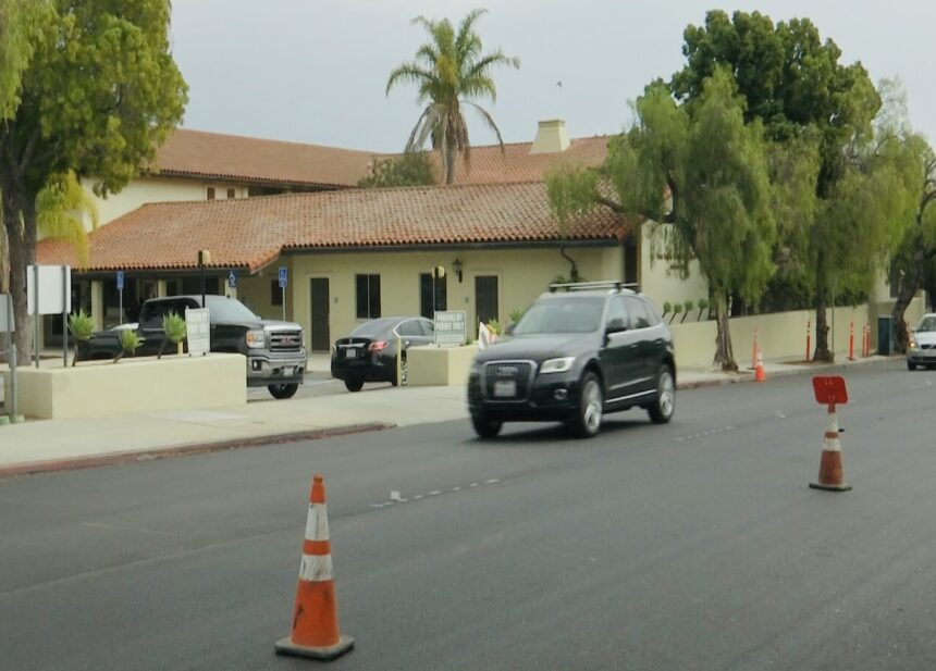 drive-by protest