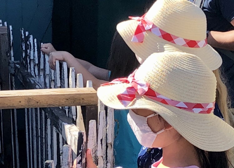 Children at the Santa Barbara Zoo