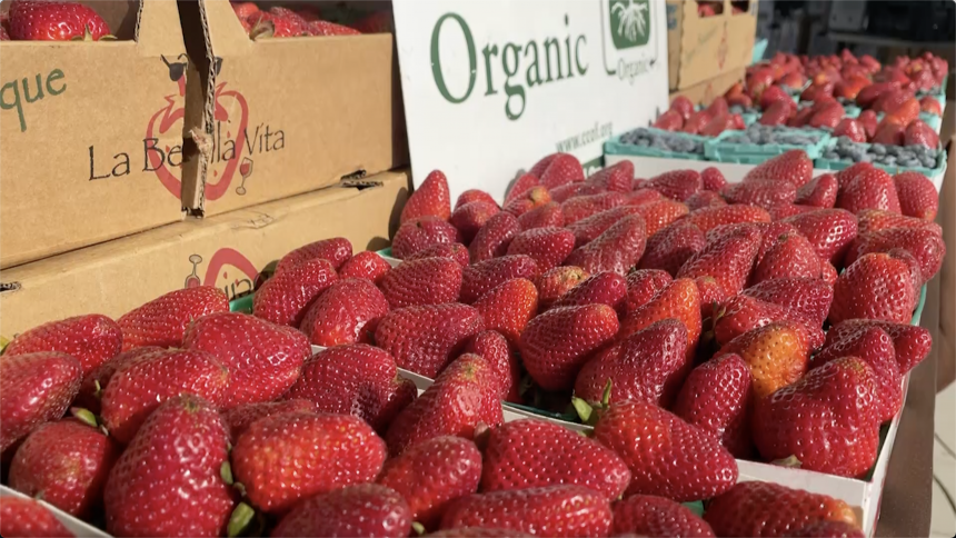 Strawberries from KEM Farms
