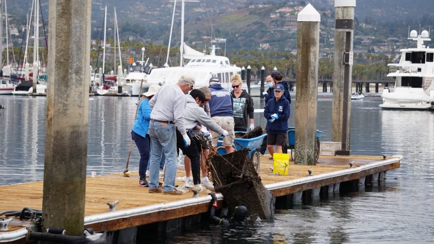 Santa Barbara Harbor Operation Clean Sweep