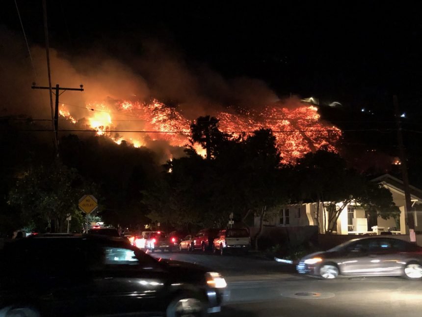 Loma Fire gallery picture 2
