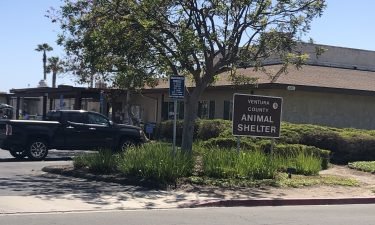 Ventura County Animal Shelter