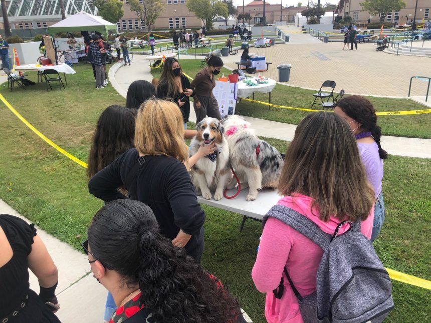 Theraphy Dogs at Oxnard Union High School District