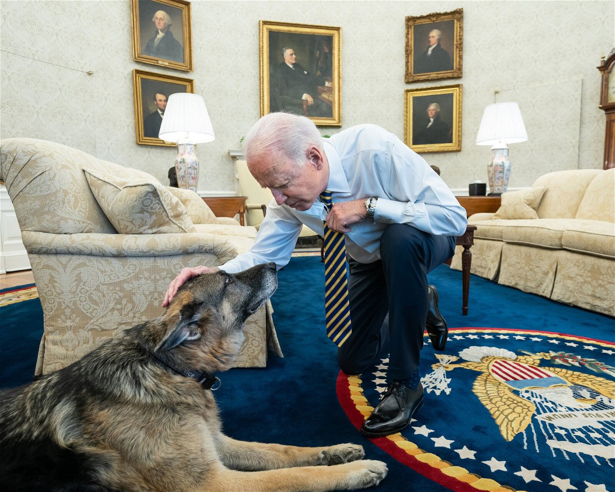 <i>Adam Schultz/White House</i><br/>President Joe Biden pets the Biden family dog Champ in the Oval Office of the White House Wednesday