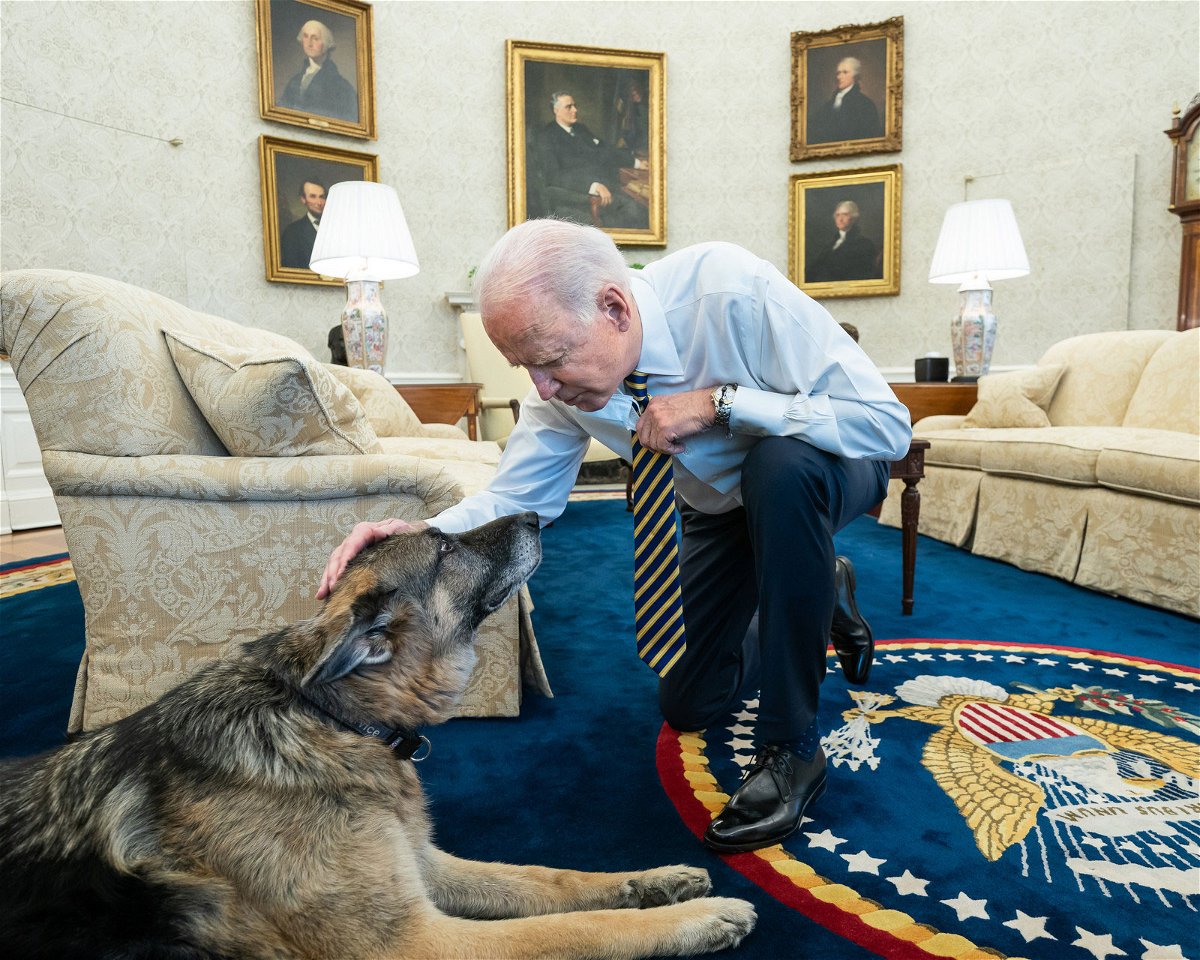 President Joe Biden pets the Biden family dog Champ in the Oval Office of the White House Wednesday, Feb. 24, 2021, prior to a bipartisan meeting with House and Senate members to discuss supply chains. (Official White House Photo by Adam Schultz)