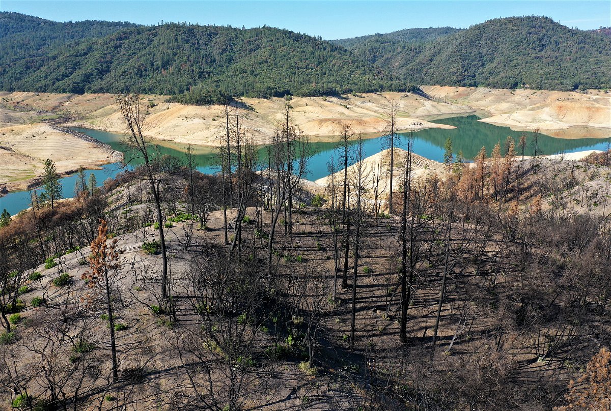 <i>Justin Sullivan/Getty Images</i><br/>An unrelenting drought and record heat have pushed the water supply at Northern California's Lake Oroville to deplete to 