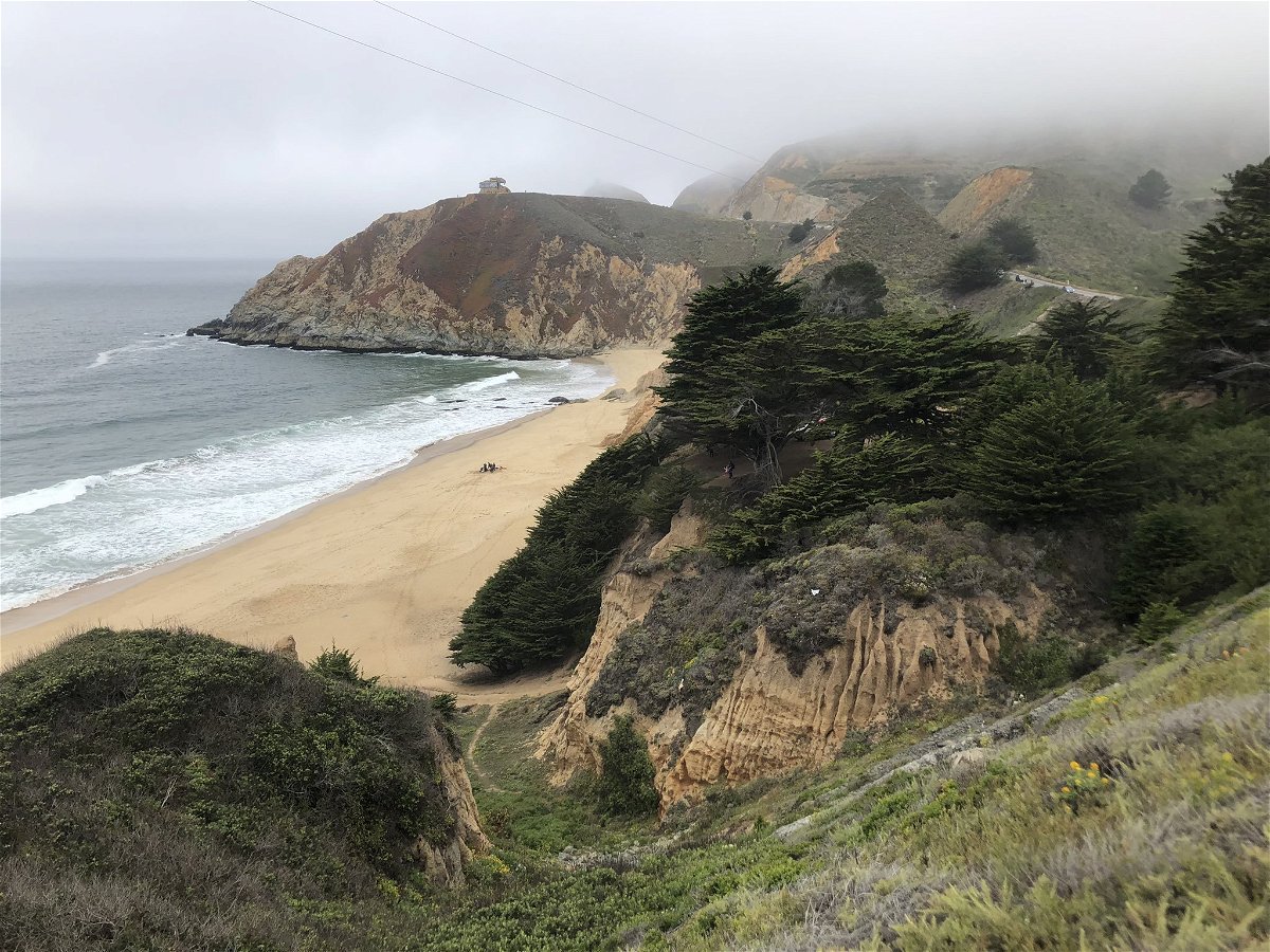 A 35-year-old man was hospitalized Saturday for a shark bite at Grey Whale Cove State Beach, according to the San Mateo County Sheriff’s Office. The beach was closed, and officials say the great white shark is believed to be six to eight feet in length.
 
The victim was bitten on the leg and needed “advanced life support measures, according to first responders from CAL FIRE. He was listed in serious condition Saturday morning at Stanford Hospital in Palo Alto.