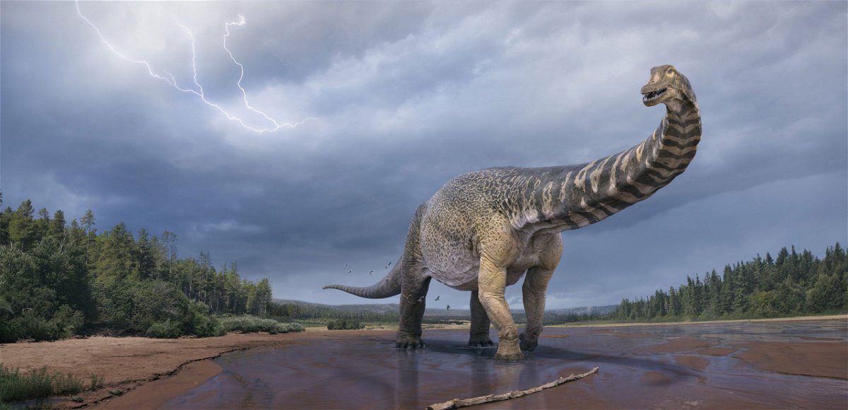 This ancient dinosaur would give today's blue whale a run for its money