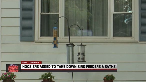 <i>WBND</i><br/>Officials continues to urge people to put away birdbaths and bird feeders due to an outbreak of songbird disease.