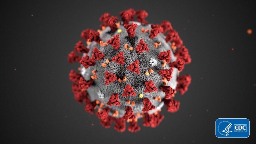 The CDC's model of the coronavirus is shown. After months of progress in the fight against Covid-19