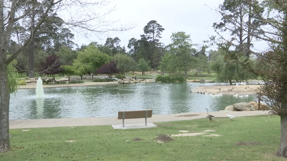 Waller Park pond