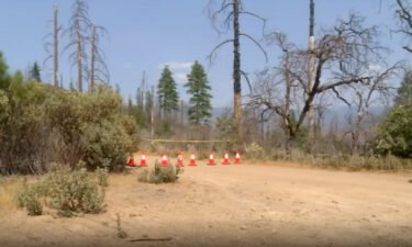 Trails and campgrounds in a remote area near Yosemite National Park have been closed by the US Forest Service due to "unknown hazards."
