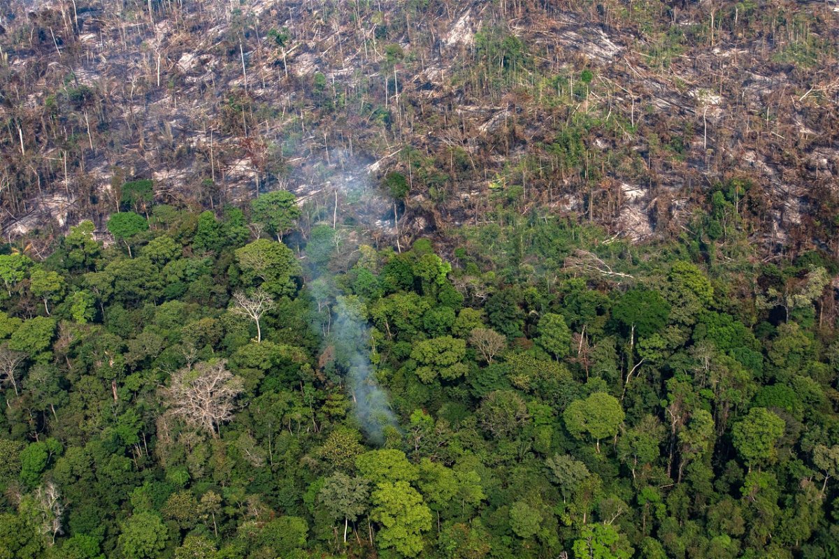 <i>Victor Moriyama/Getty Images</i><br/>A section of the Amazon rainforest was destroyed by wildfires in 2019 in the Candeias do Jamari region near Porto Velho