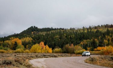 A vehicle drives in the Bridger-Teton National Forest