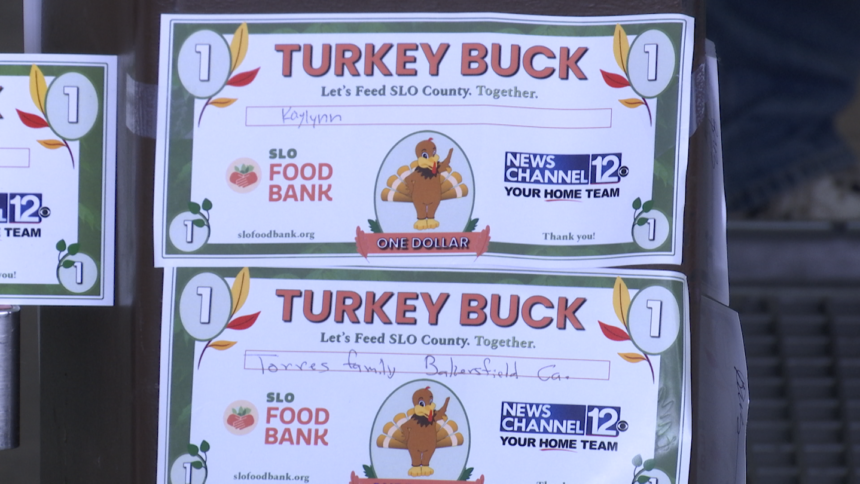 Turkey Bucks