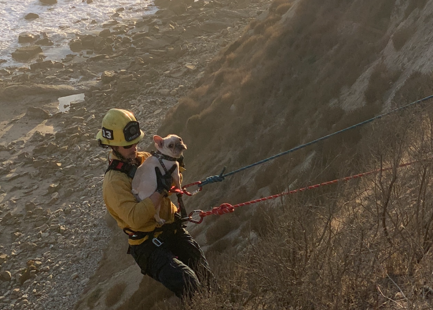 Santa Barbara County Firefighters Rescuing More Dogs From Cliffsides ...