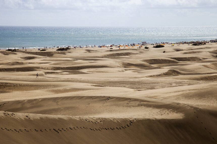Wild Canary Island Beach Sex - Tourists having sex in the dunes is ruining a Spanish beach | News Channel  3-12