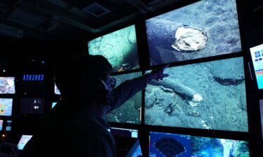 MBARI Senior Scientist Steven Haddock and the science team observe the internal structure of the tusk.