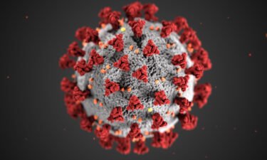 South Africa's health minister announced Thursday the discovery of a new coronavirus variant that appears to be spreading rapidly in parts of the country.